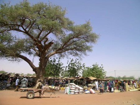 Marche_de_Gorom_Gorom001