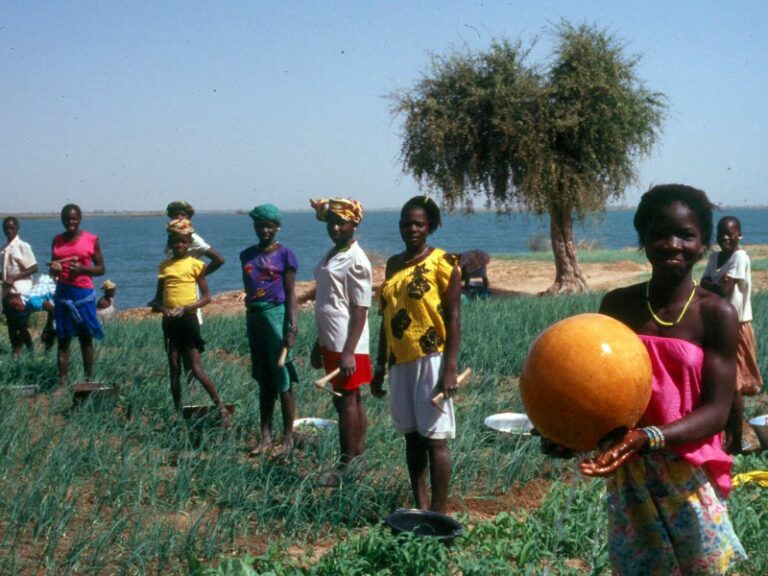 Mbeda Mali le Jardin des Jeunes filles